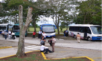 Chartered buses for transfers to hotel
